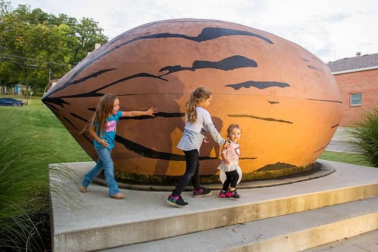 World's Largest Pecan Replica Sculpture: world record in Brunswick, Missouri World's Largest Pecan Replica Sculpture: world record in Brunswick, Missouri