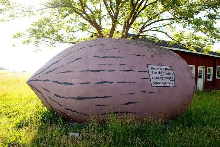 World's Largest Pecan Replica Sculpture: world record in Brunswick, Missouri World's Largest Pecan Replica Sculpture: world record in Brunswick, Missouri