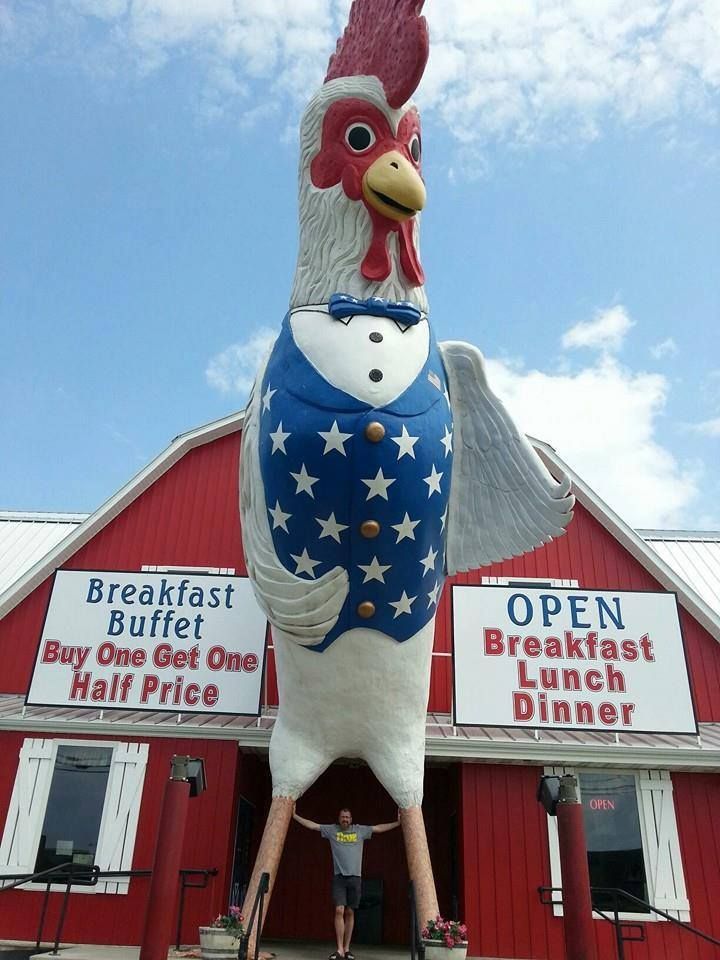 World's Largest Rooster Sculpture: world record in Branson, Missouri