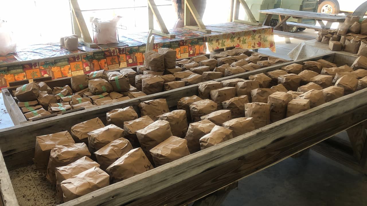 World's Largest Peanut Boil: world record in Luverne, Alabama