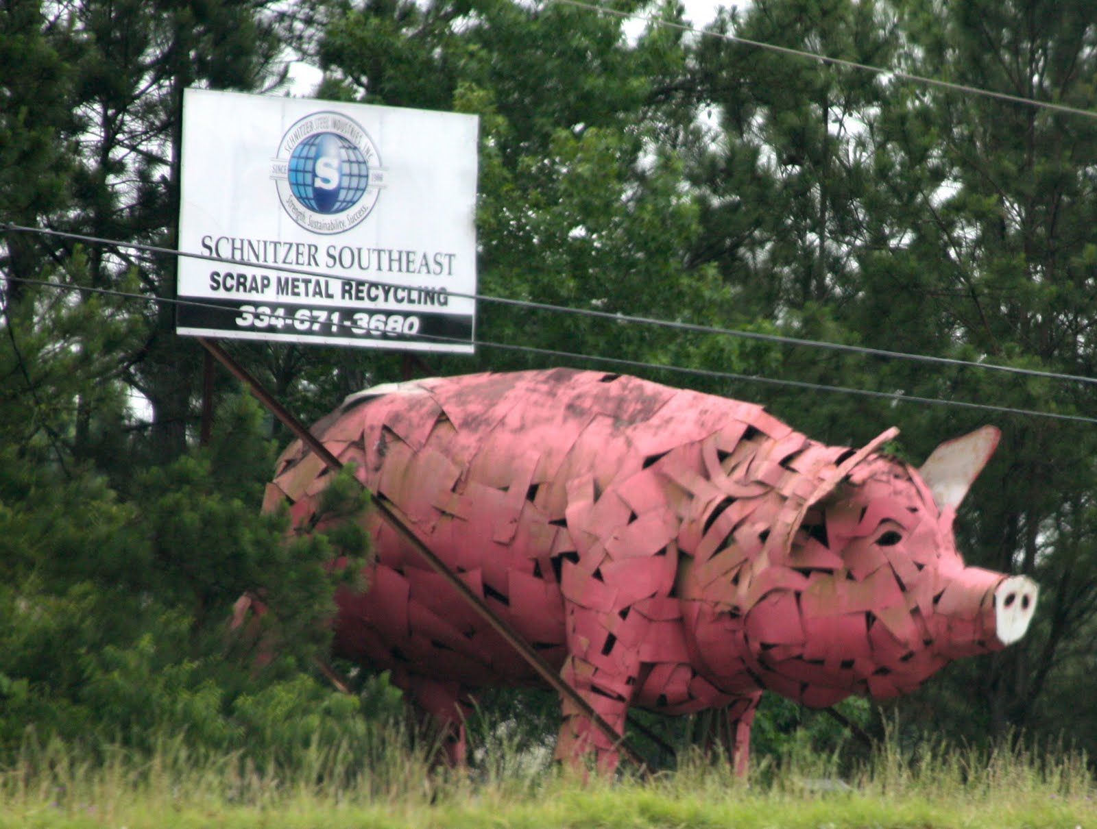 World's Largest Hog Sculpture: world record in Dothan, Alabama World's Largest Hog Sculpture: world record in Dothan, Alabama