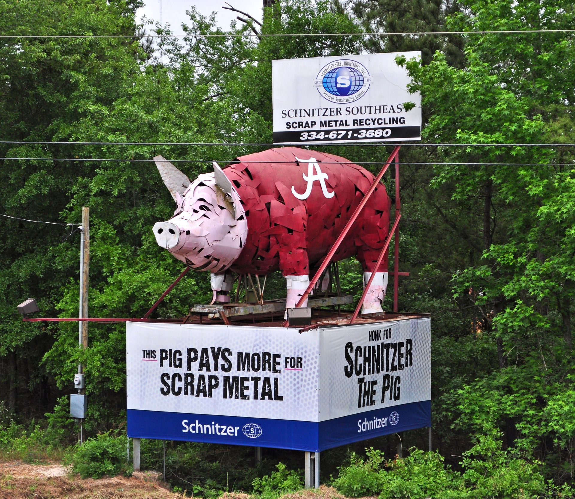 World's Largest Hog Sculpture: world record in Dothan, Alabama World's Largest Hog Sculpture: world record in Dothan, Alabama