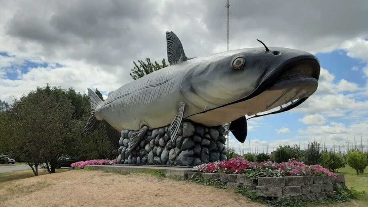 World's Largest Catfish Statue: world record in Wahpeton, North Dakota World's Largest Catfish Statue: world record in Wahpeton, North Dakota