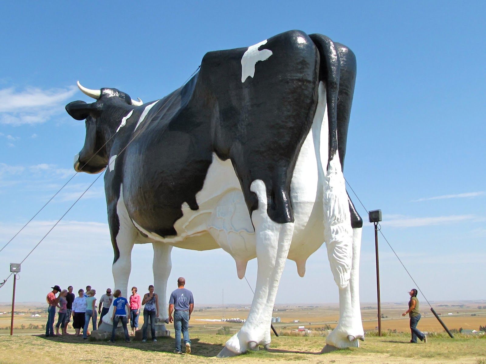 World's Largest Holstein Cow Sculpture: world record in New Salem, North Dakota