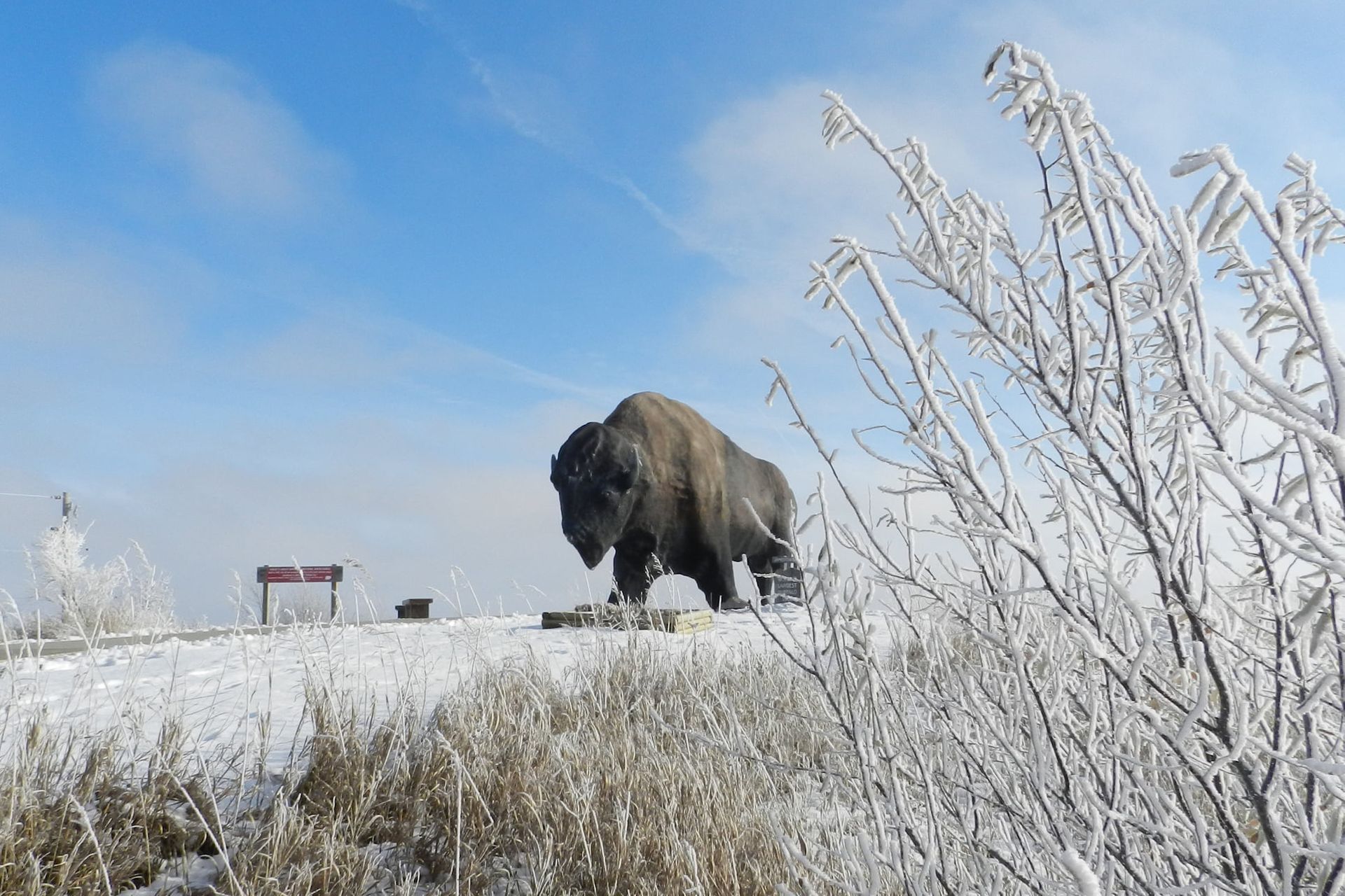 World’s Largest Buffalo Monument: world record in Jamestown, North Dakota World’s Largest Buffalo Monument: world record in Jamestown, North Dakota