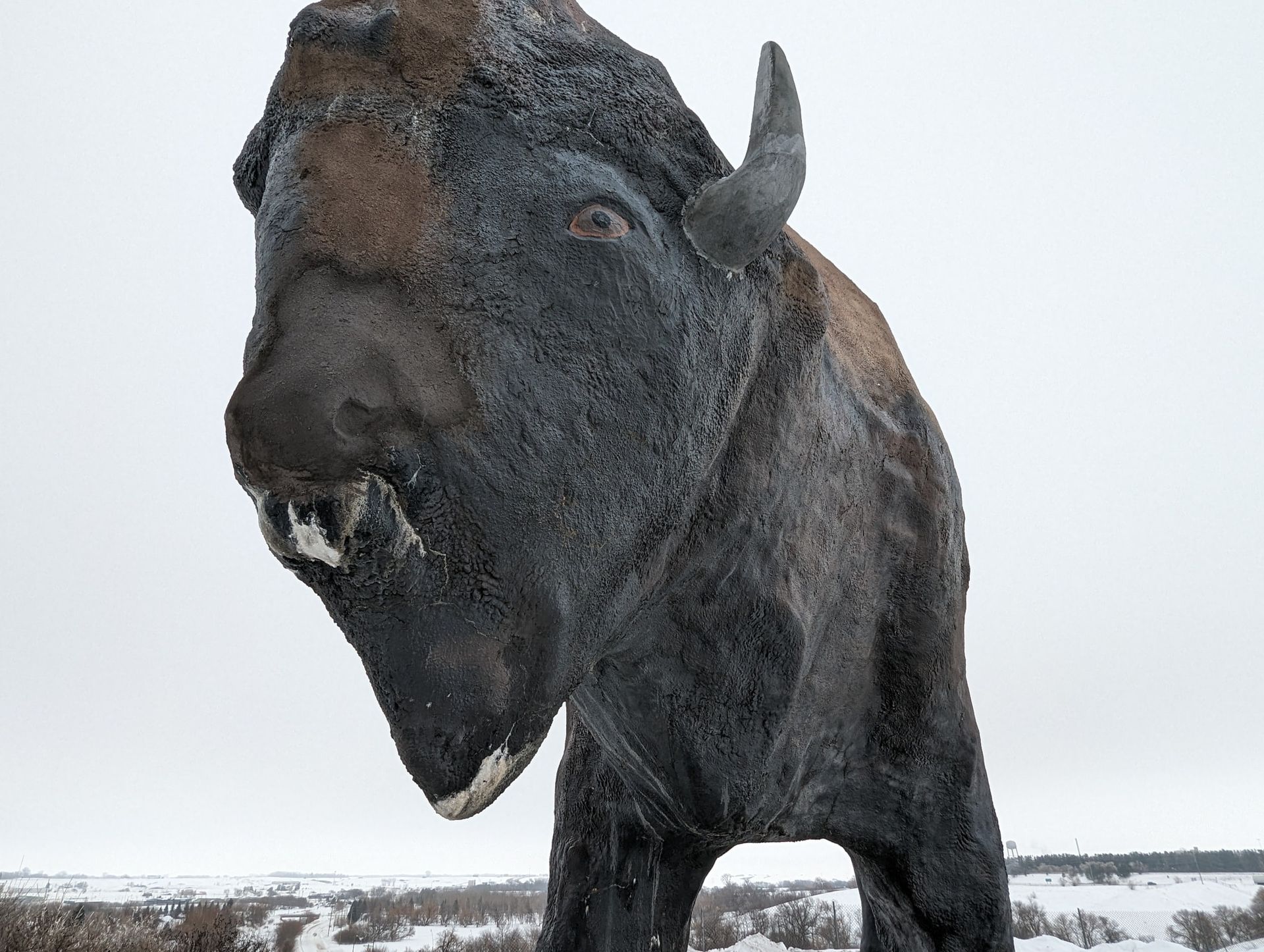 World’s Largest Buffalo Monument: world record in Jamestown, North Dakota World’s Largest Buffalo Monument: world record in Jamestown, North Dakota