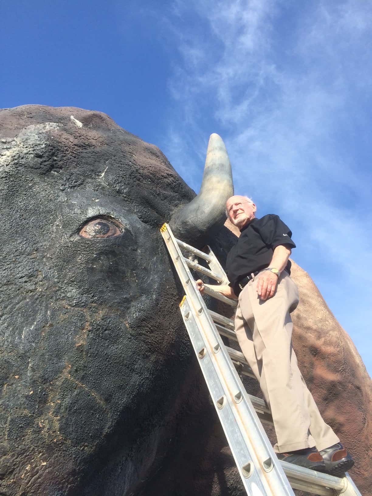 World’s Largest Buffalo Monument: world record in Jamestown, North Dakota World’s Largest Buffalo Monument: world record in Jamestown, North Dakota