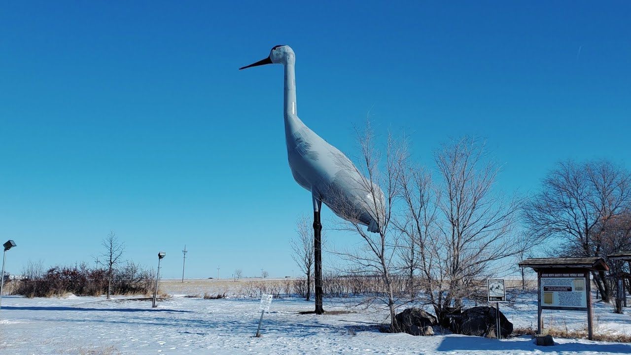 World's Largest Sandhill Crane Sculpture: world record in Steele, North Dakota