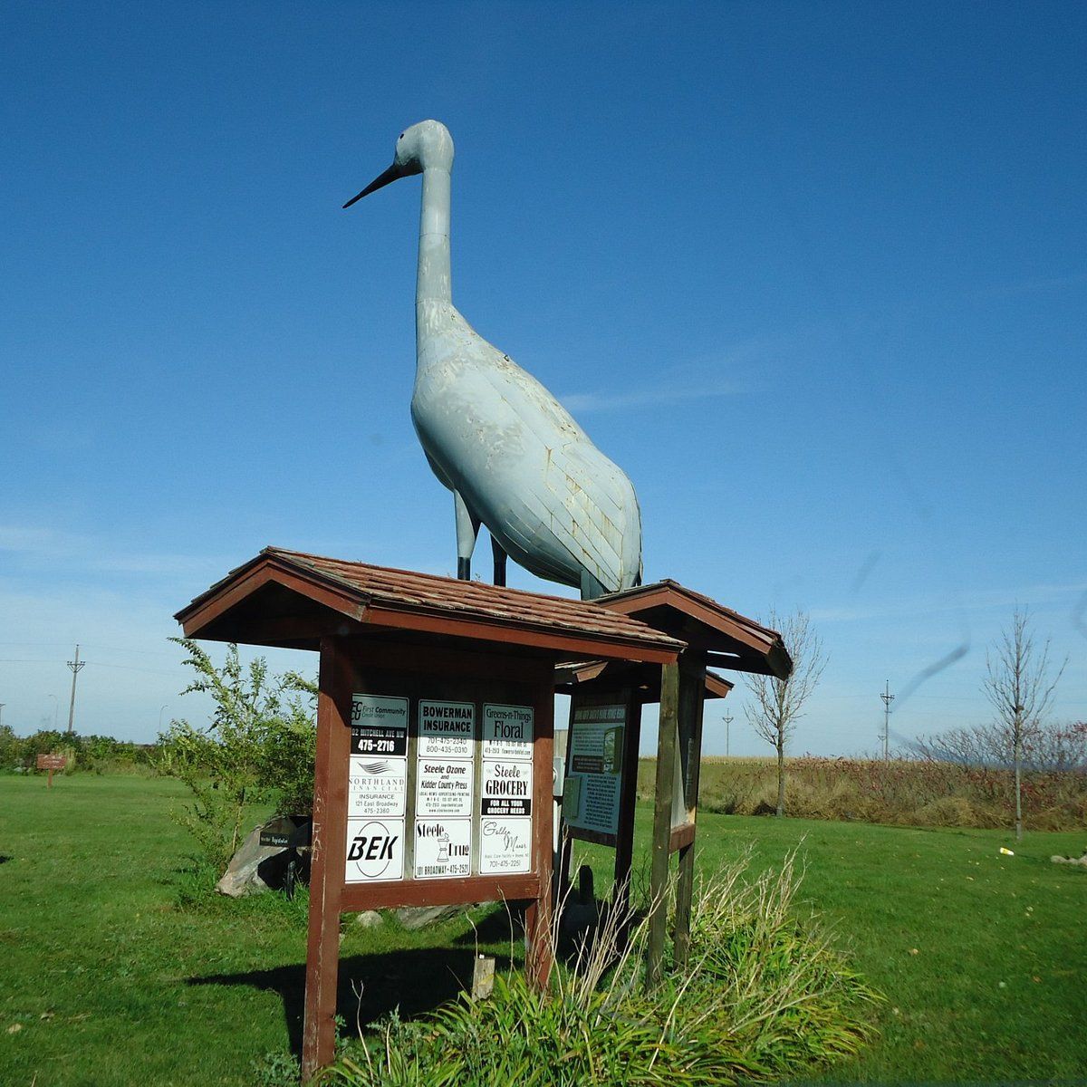 World's Largest Sandhill Crane Sculpture: world record in Steele, North Dakota