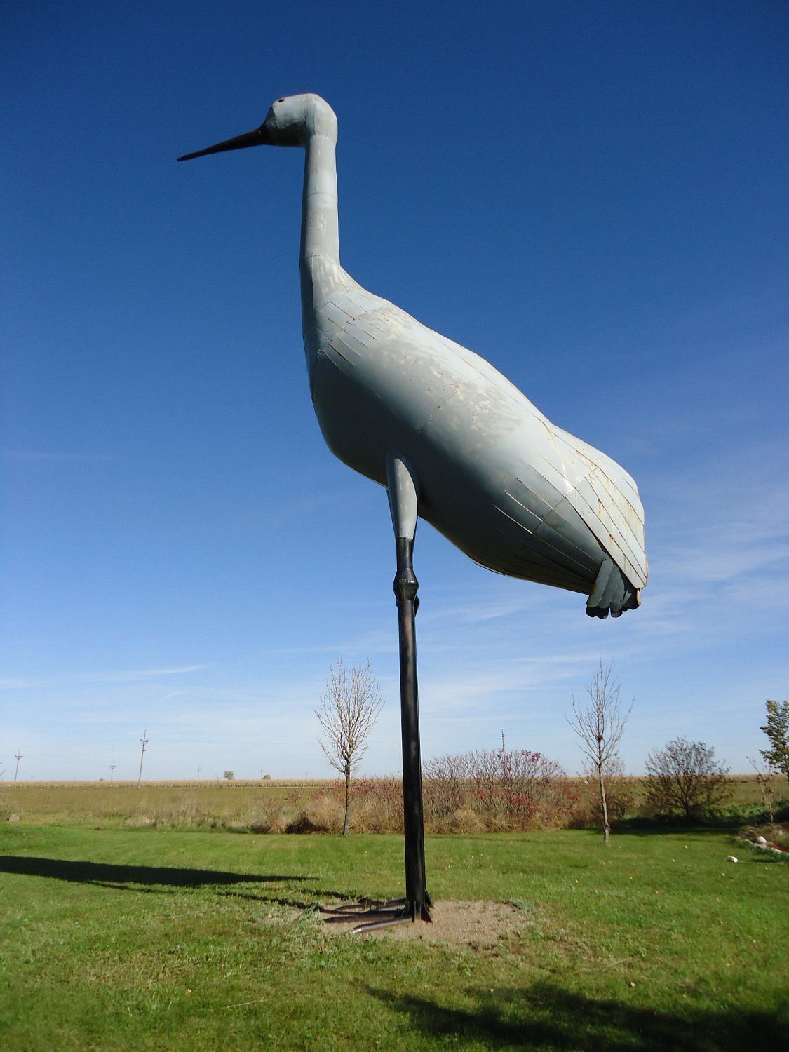 World's Largest Sandhill Crane Sculpture: world record in Steele, North Dakota