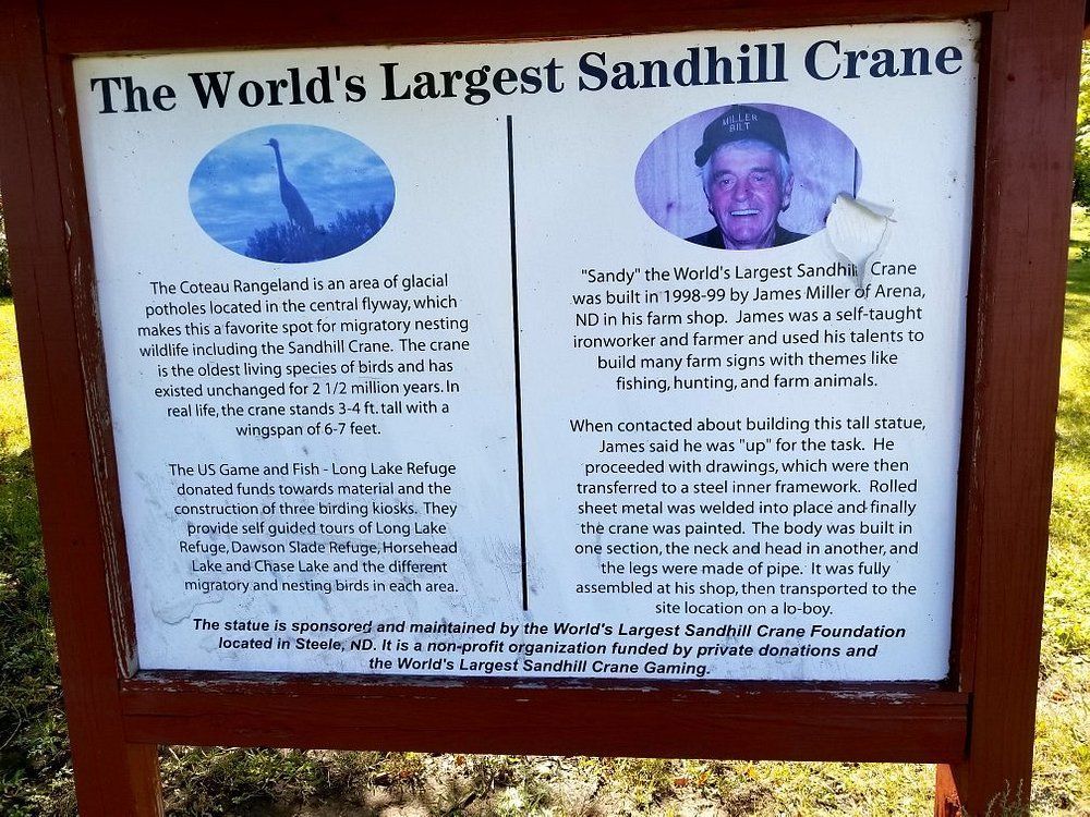 World's Largest Sandhill Crane Sculpture: world record in Steele, North Dakota