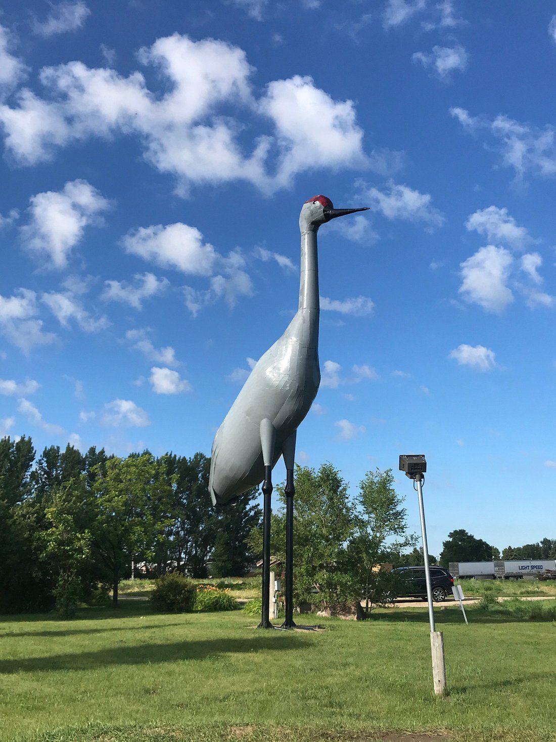 World's Largest Sandhill Crane Sculpture: world record in Steele, North Dakota