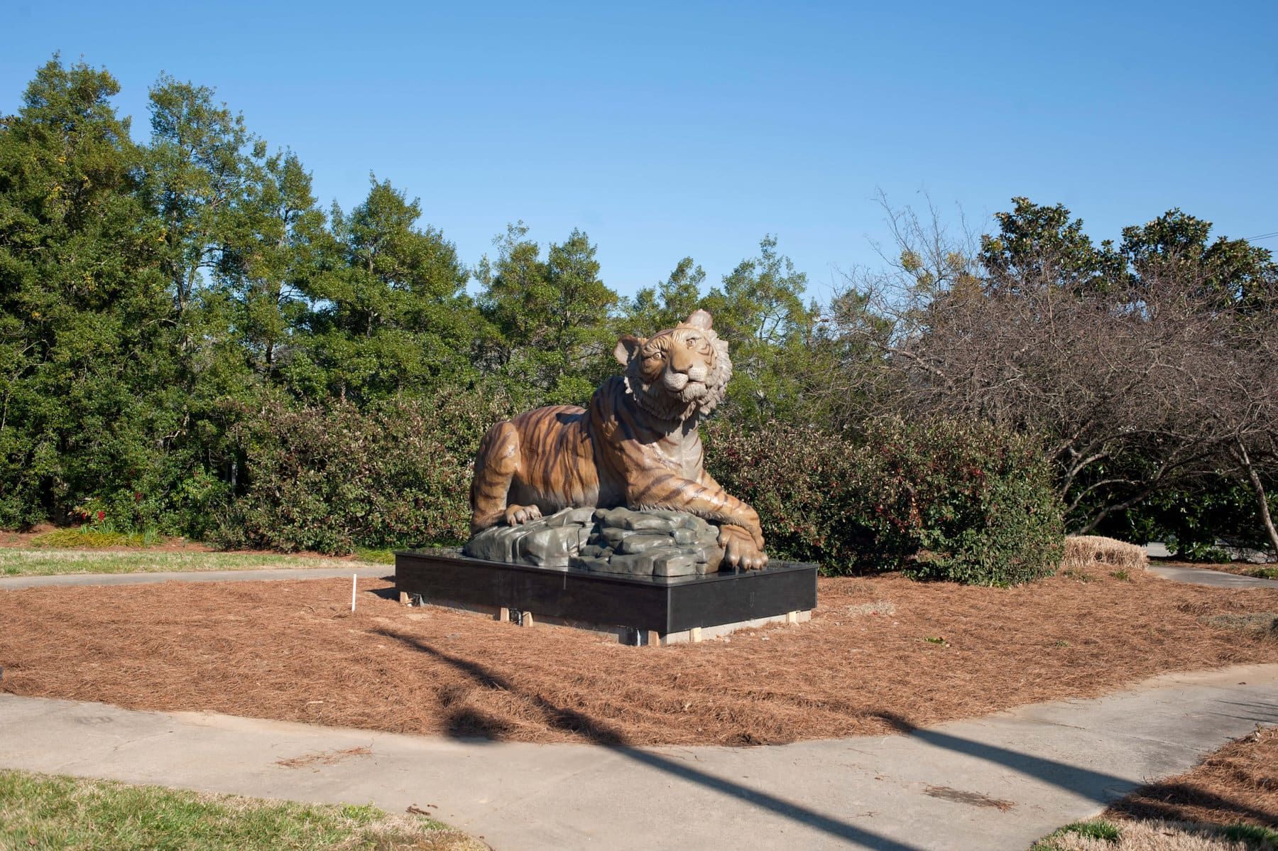 World’s Largest Golden Tiger Sculpture: world record in Gainesville, Georgia
