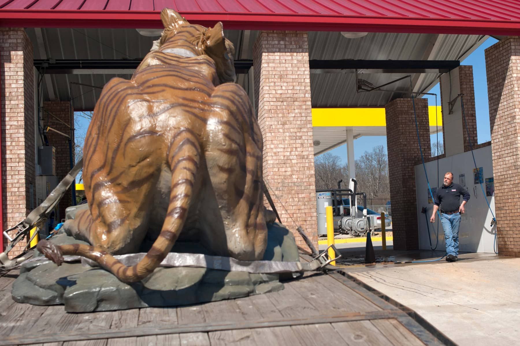 World’s Largest Golden Tiger Sculpture: world record in Gainesville, Georgia