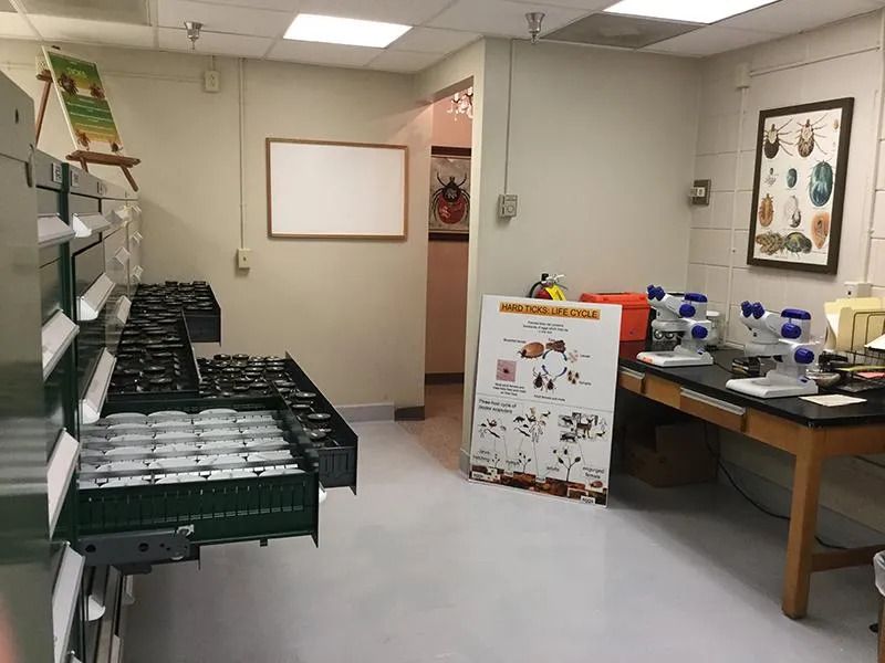 World's Largest Tick Collection: world record in Statesboro, Georgia