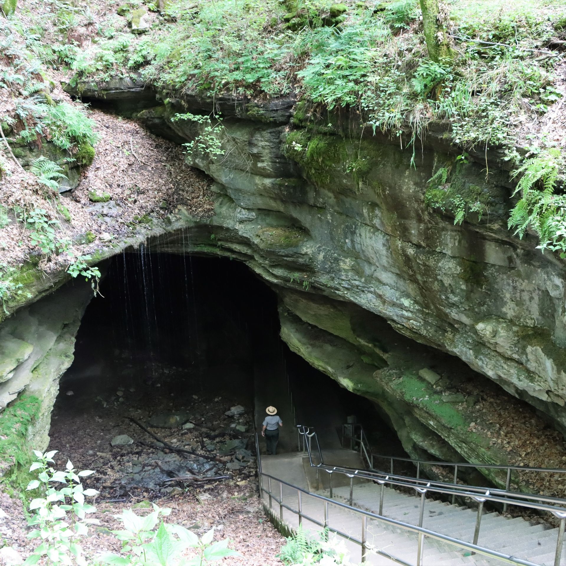 World's Longest Cave System: world record in Edmonson County, Kentucky