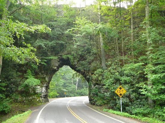 World's Shortest Highway Tunnel: world record in Shady Valley, Tennessee World's Shortest Highway Tunnel: world record in Shady Valley, Tennessee