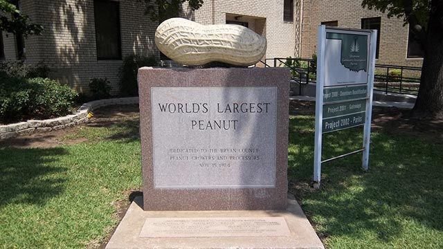  World's Largest Peanut Sculpture: world record in Durant, Oklahoma