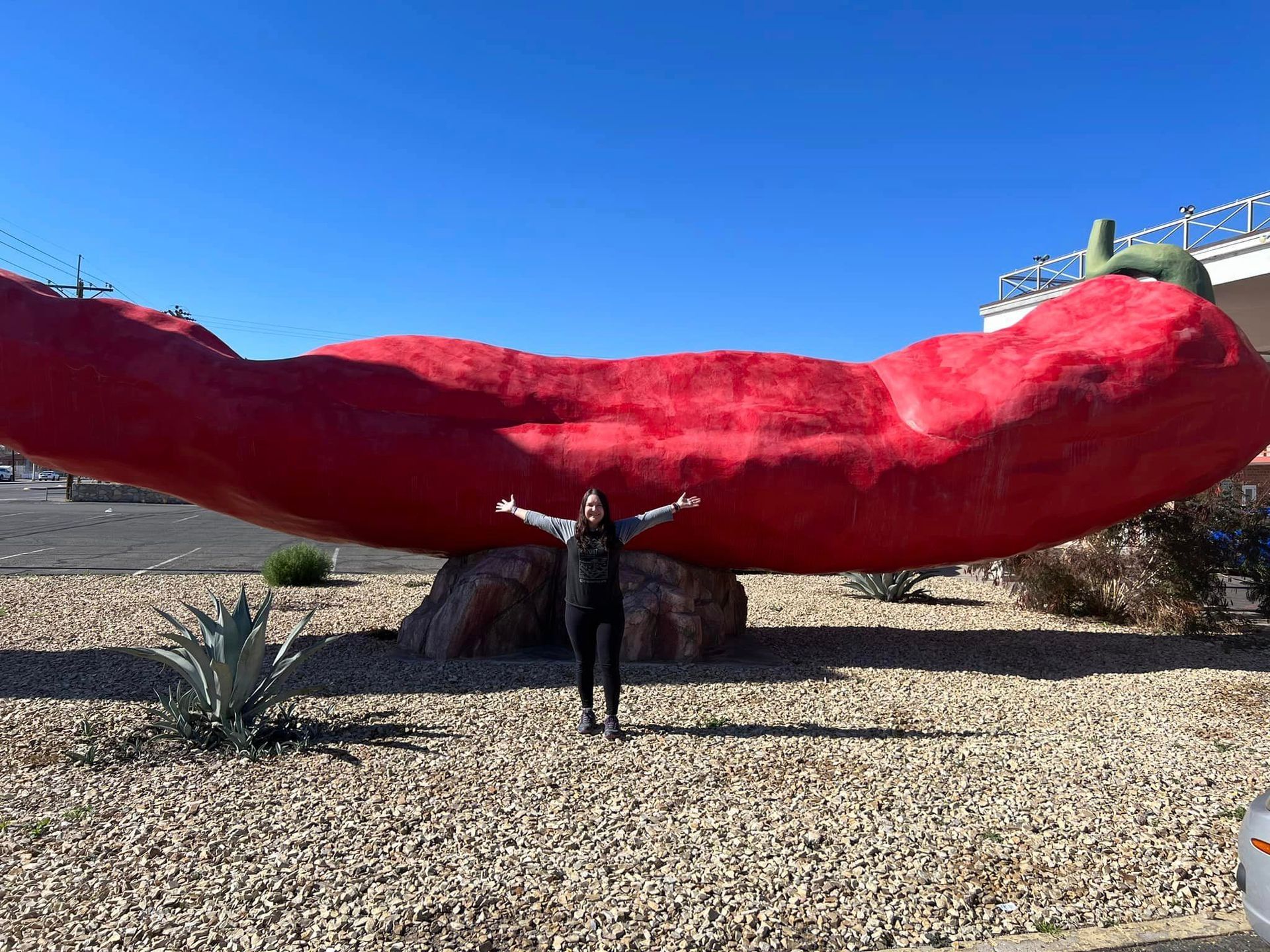 World's Largest Chile Pepper Sculpture, world record in Las Cruces, New Mexico
