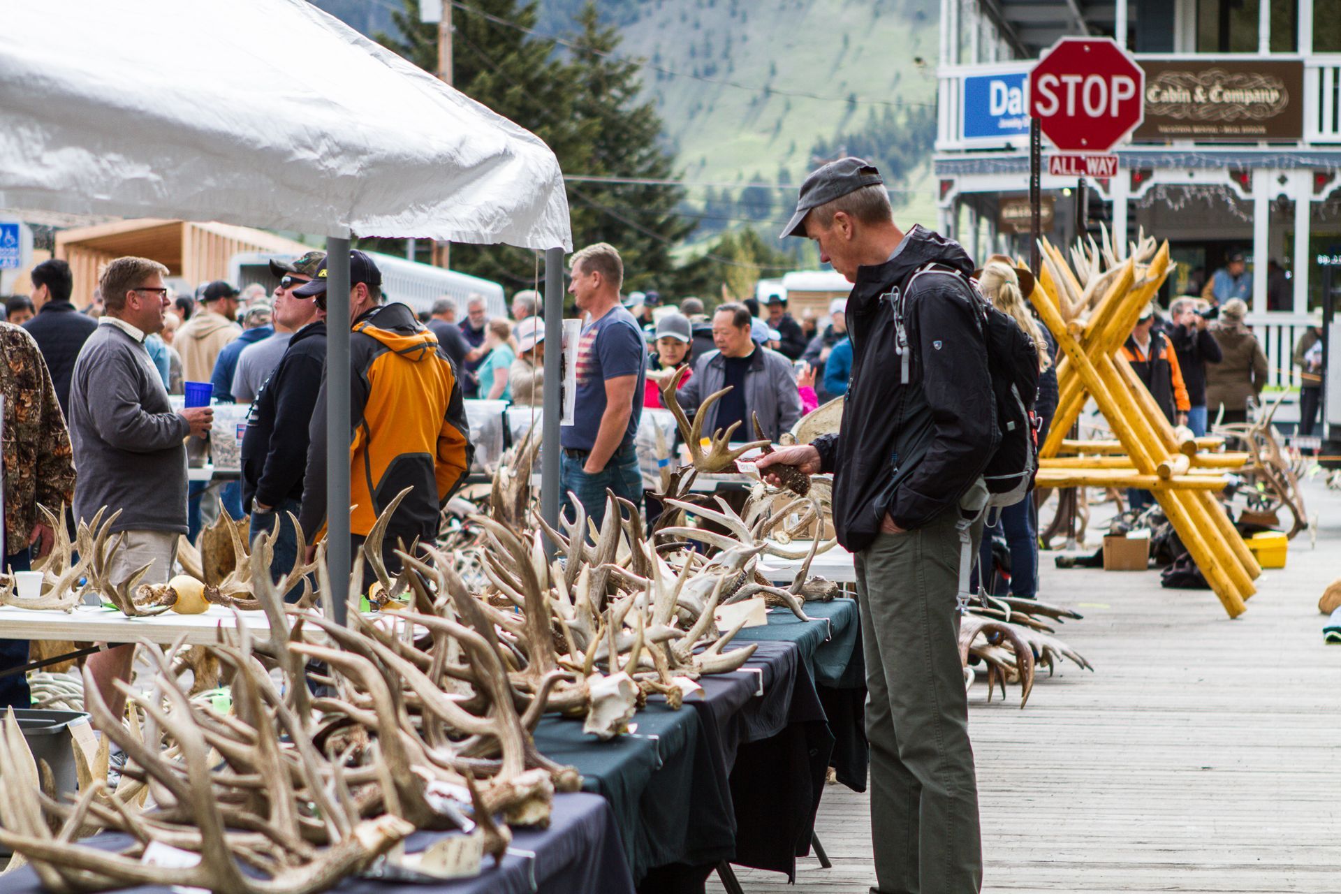 World's largest elk antler auction, world record in Jackson Hole, Wyoming 