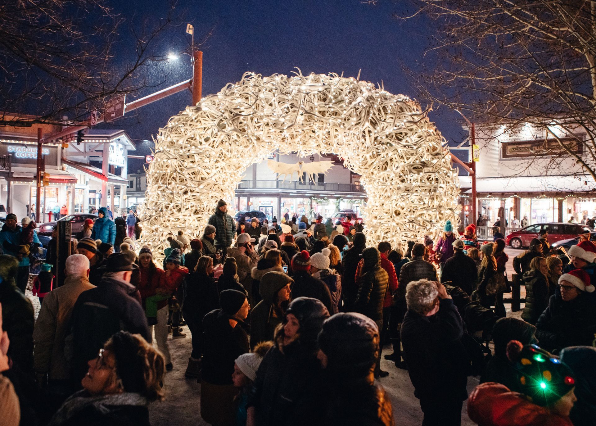 World's largest elk antler auction, world record in Jackson Hole, Wyoming 
