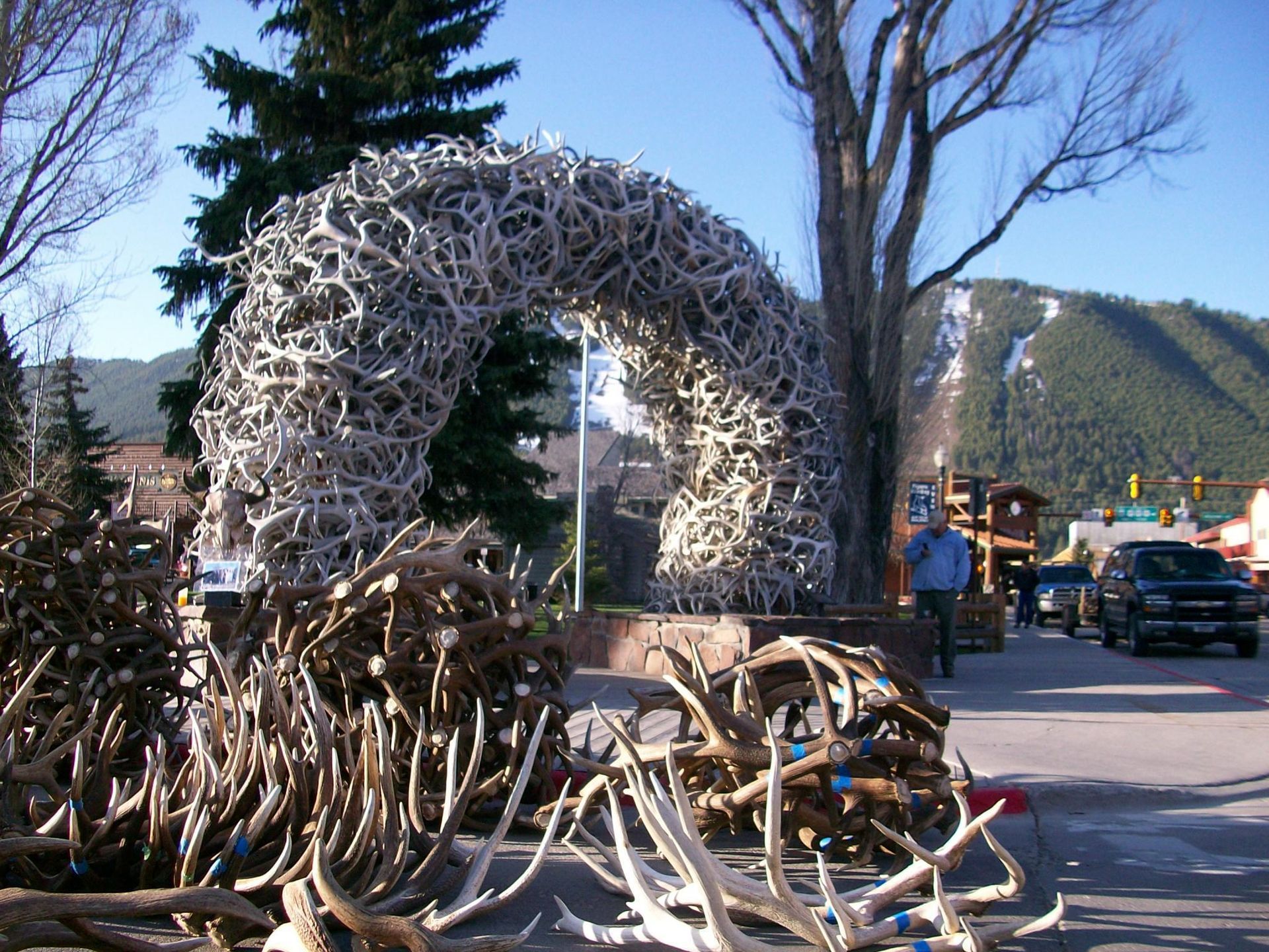 World's largest elk antler auction, world record in Jackson Hole, Wyoming 
