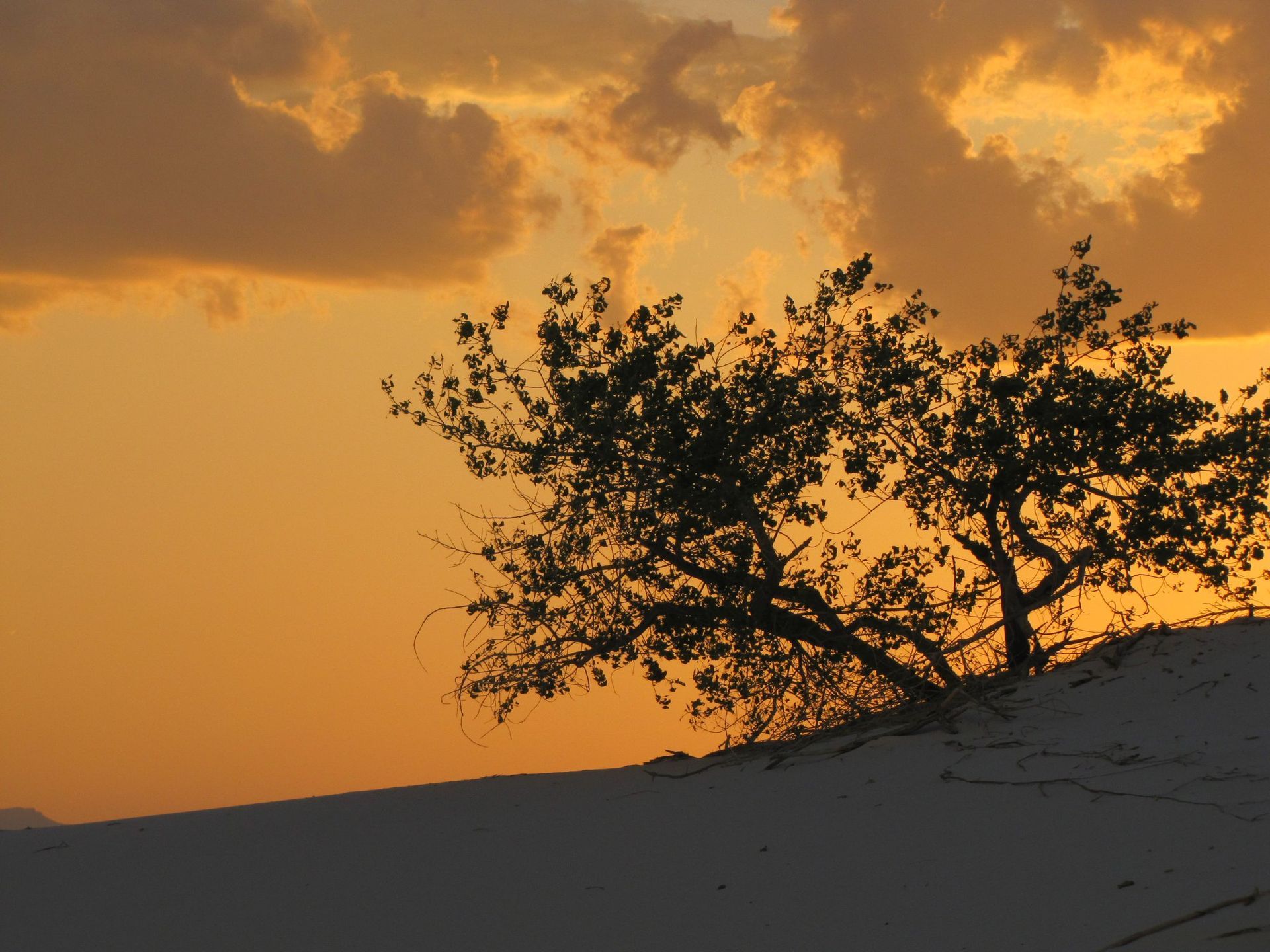 World's largest gypsum dunefield, world record in White Sands National Park, New Mexico