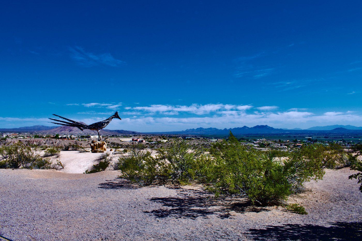 World's Largest Recycled Roadrunner Sculpture, world record in Las Cruces, New Mexico World's Largest Recycled Roadrunner Sculpture, world record in Las Cruces, New Mexico