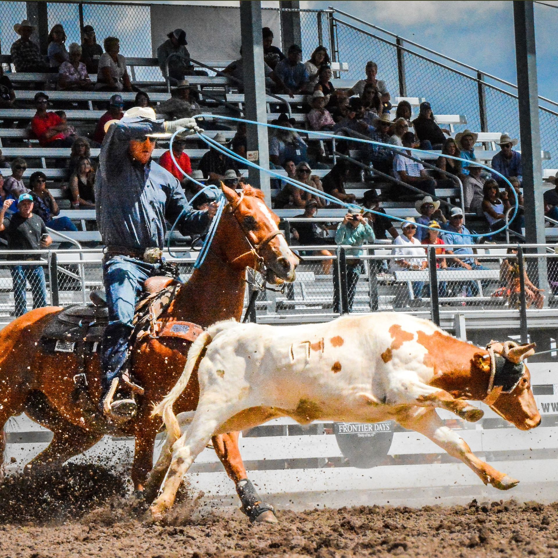 World's Largest Outdoor Rodeo, world record in Cheyenne, Wyoming
World's Largest Outdoor Rodeo, world record in Cheyenne, Wyoming