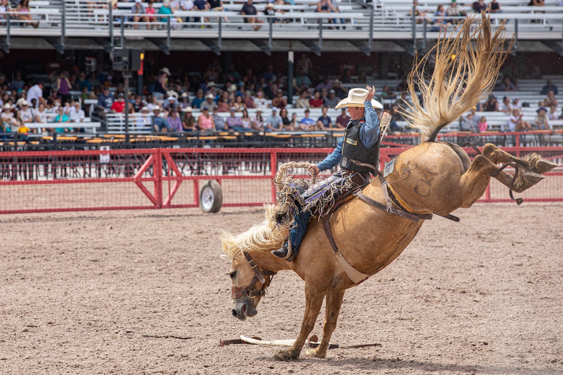 World's Largest Outdoor Rodeo and Western Celebration, world record in Cheyenne, Wyoming World's Largest Outdoor Rodeo and Western Celebration, world record in Cheyenne, Wyoming