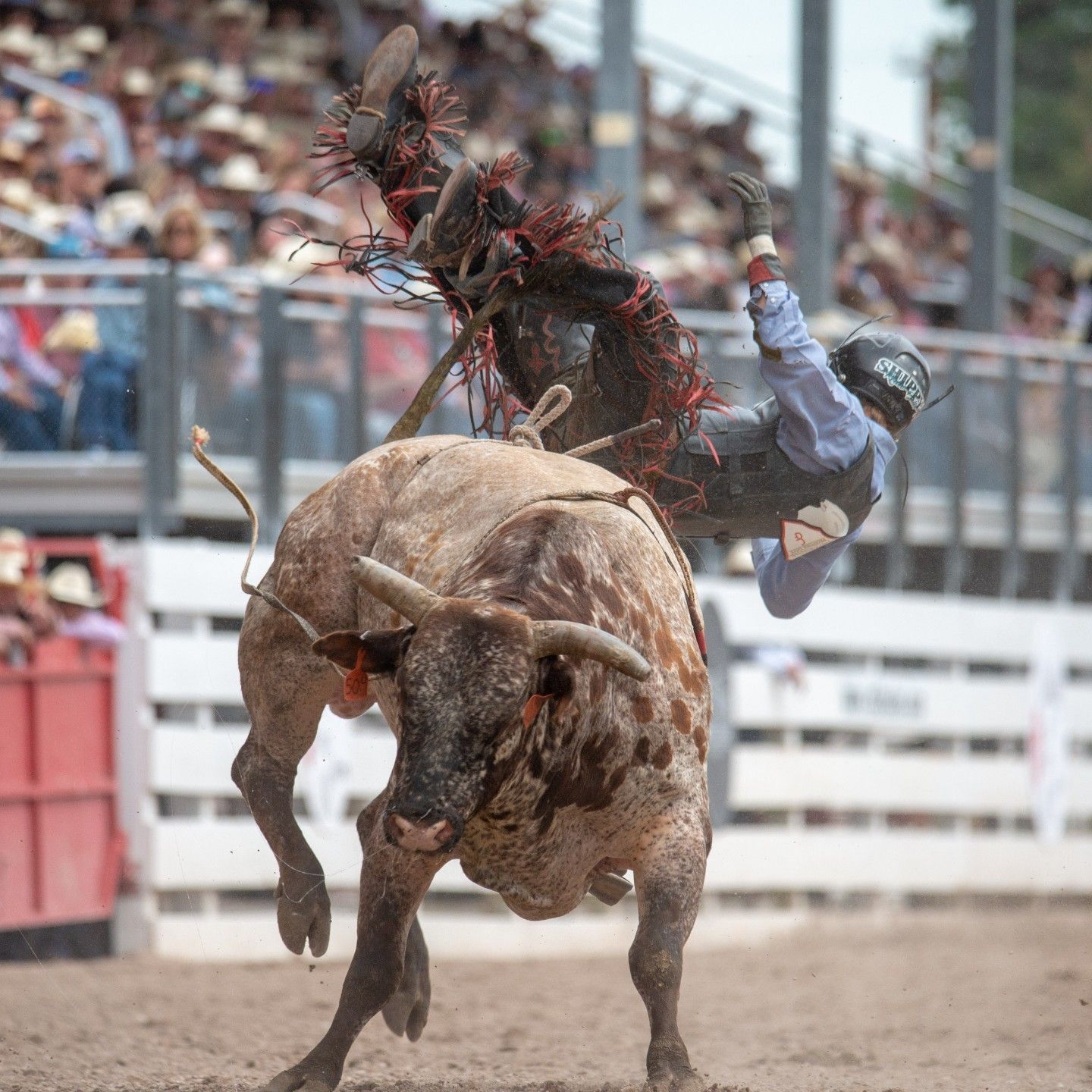 World's Largest Outdoor Rodeo and Western Celebration, world record in Cheyenne, Wyoming World's Largest Outdoor Rodeo and Western Celebration, world record in Cheyenne, Wyoming