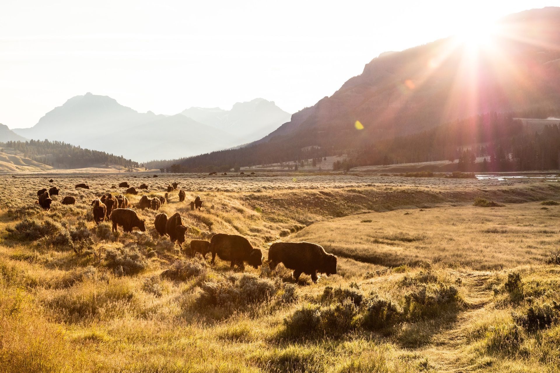 World's First National Park, world record in Wyoming