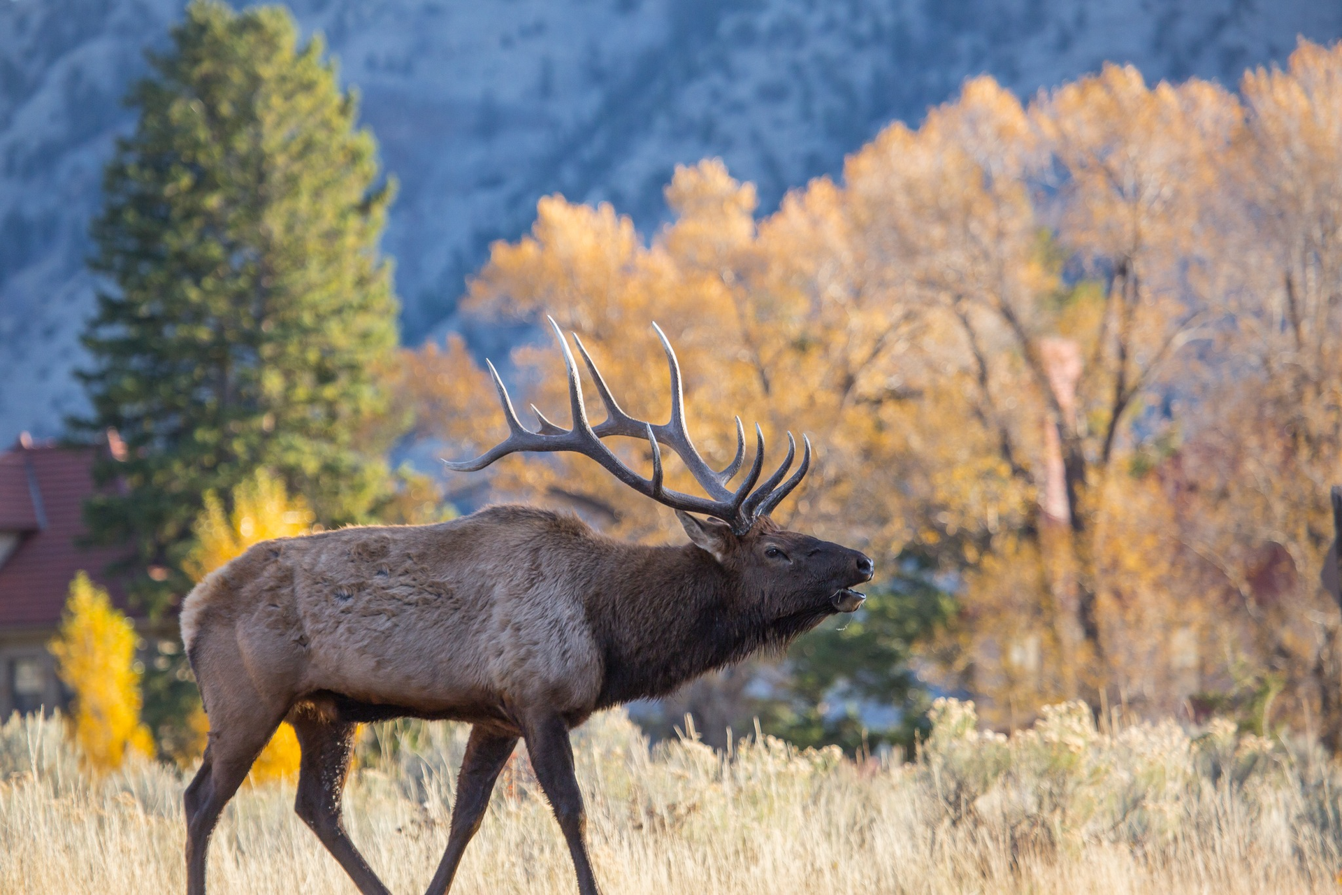 World's First National Park, world record in Wyoming
