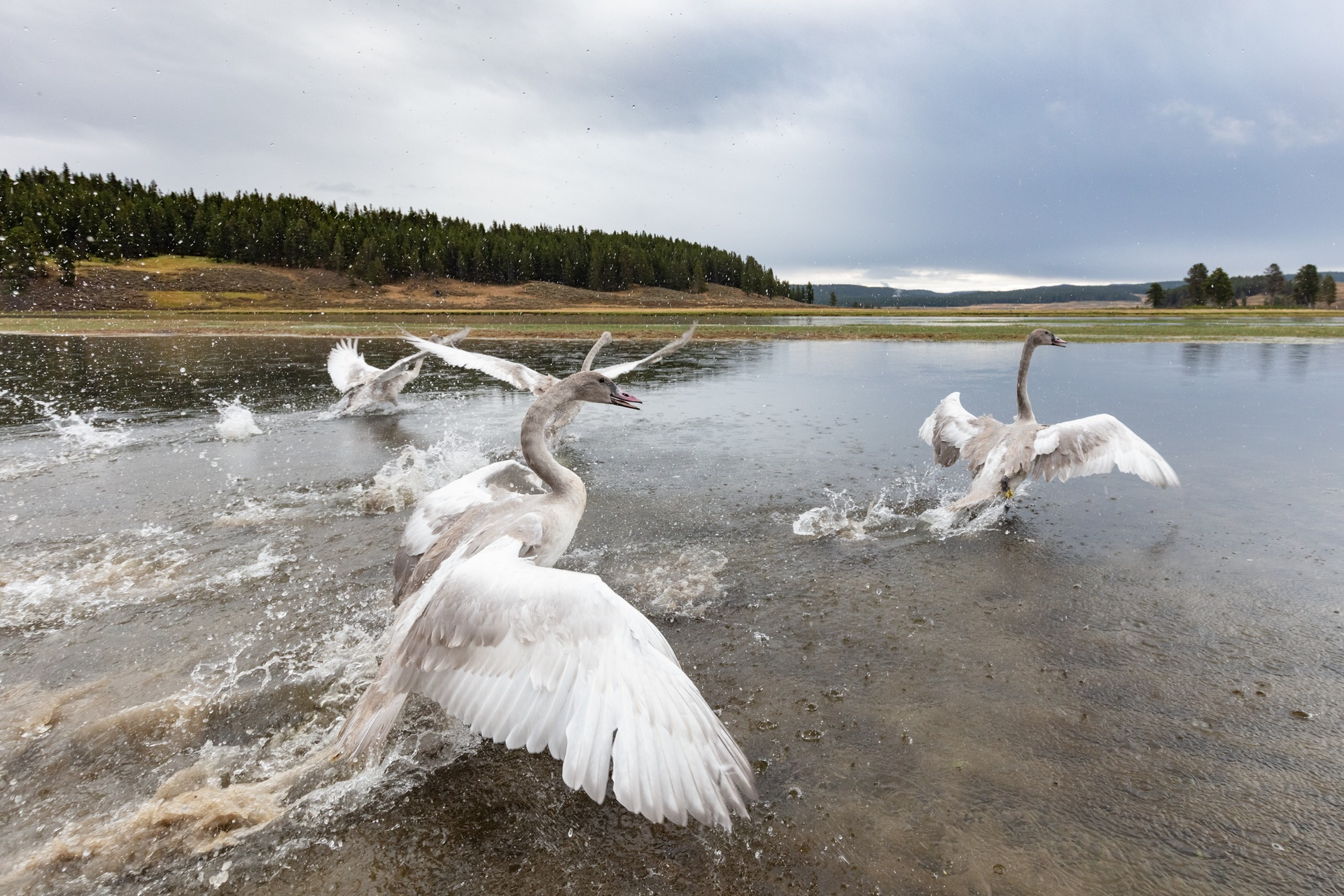 World's First National Park, world record in Wyoming