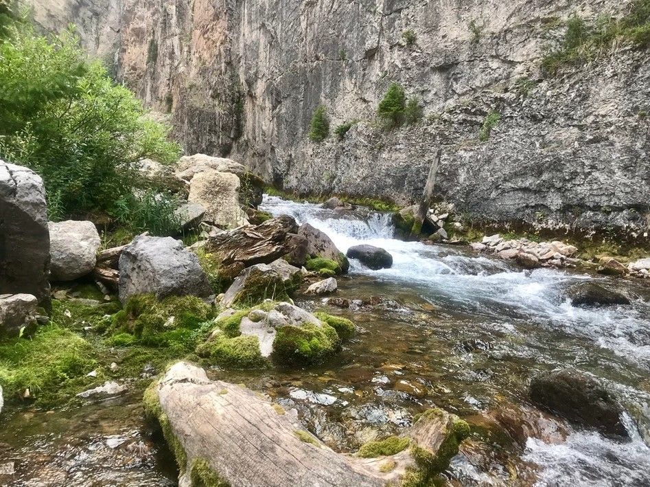 World’s Largest Rhythmic Spring, world record near Afton, Wyoming