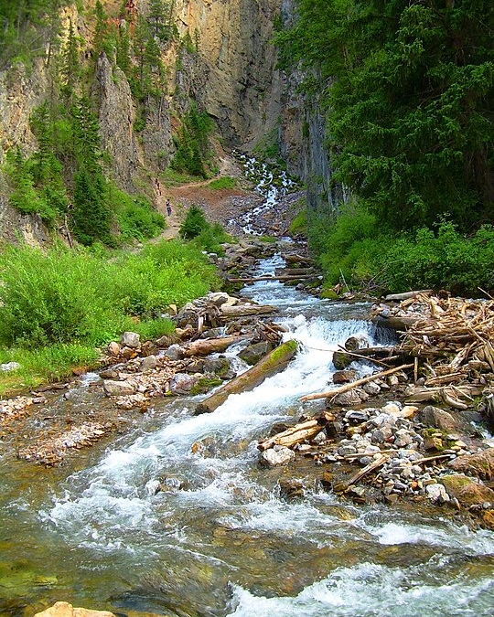 World’s Largest Rhythmic Spring, world record near Afton, Wyoming