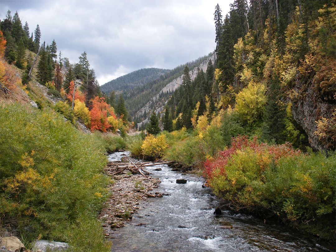 World’s Largest Rhythmic Spring, world record near Afton, Wyoming