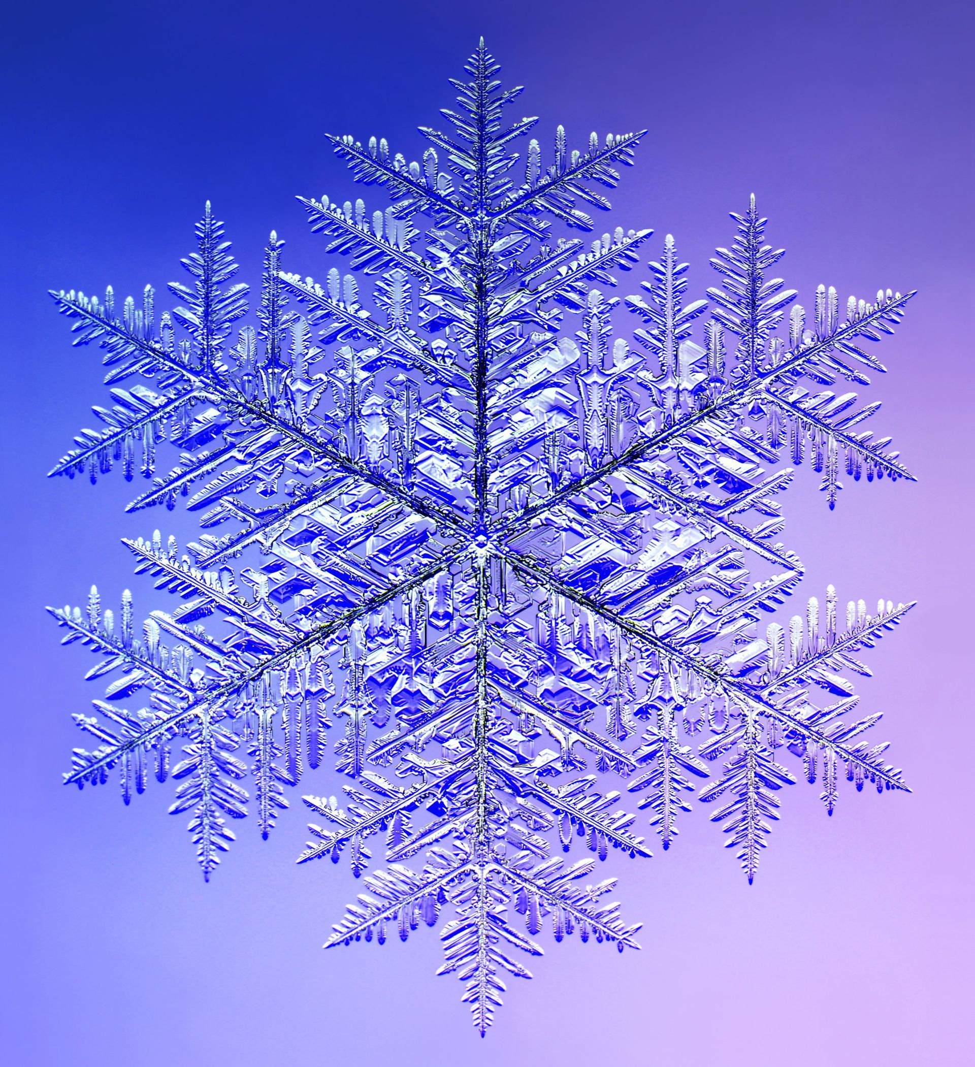 World Largest Snowflake, world record at Fort Keogh, Montana World Largest Snowflake, world record at Fort Keogh, Montana