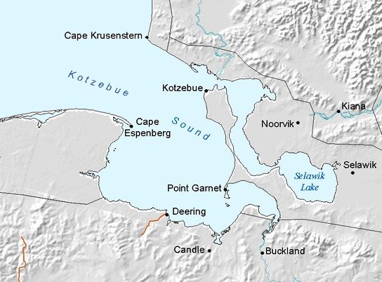 World's Largest Polar Bear, world record at Kotzebue Sound, Alaska