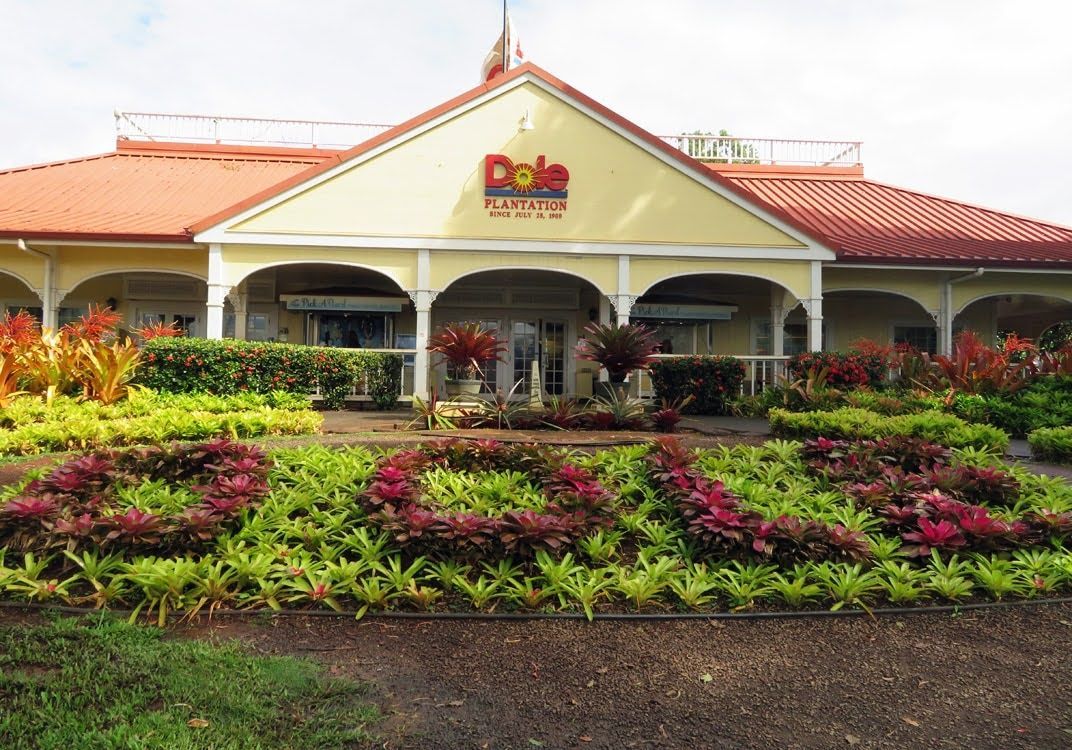 World's Largest Pineapple Maze, world record in Wahiawa, Hawaii
