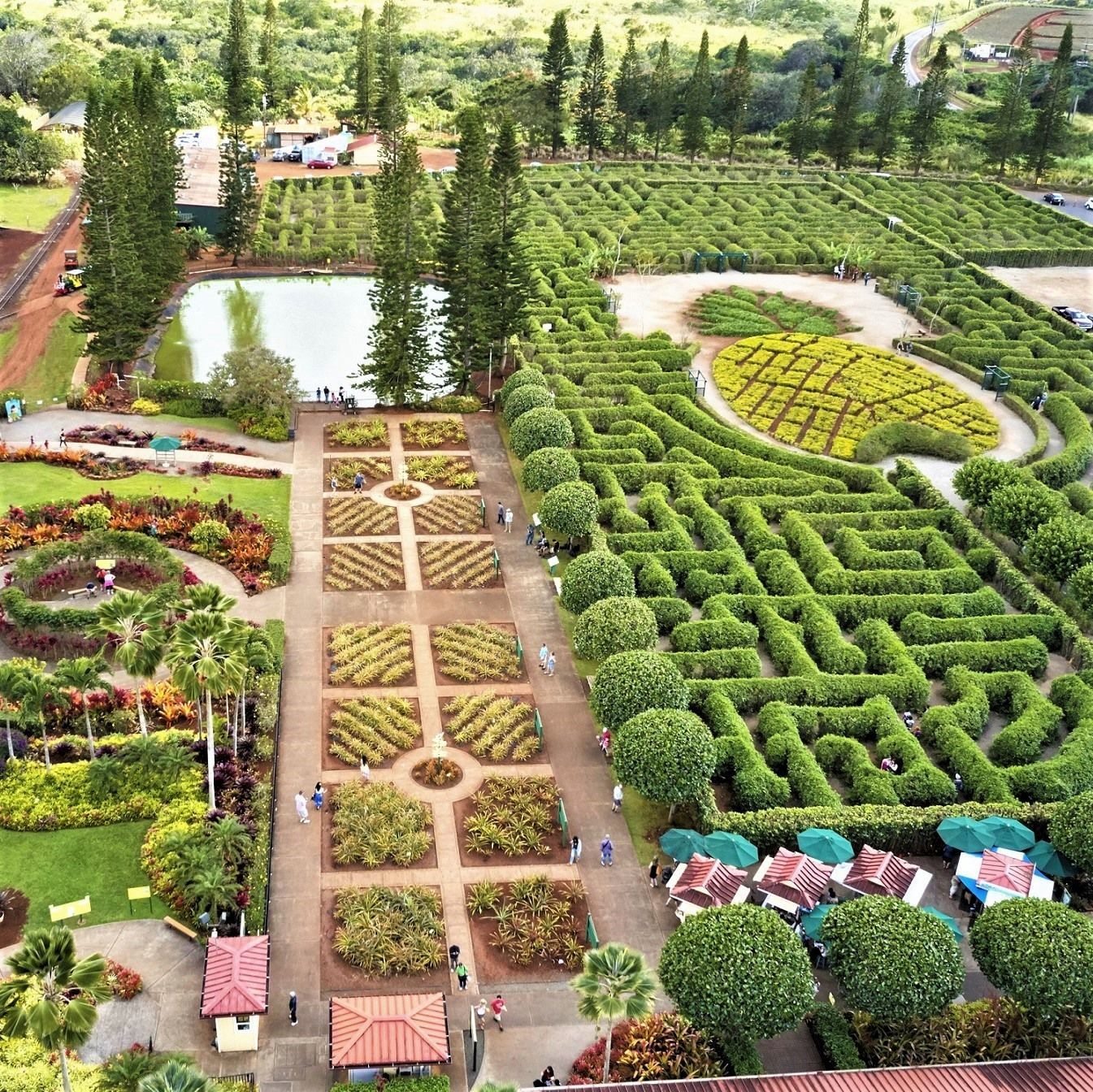 World's Largest Pineapple Maze, world record in Wahiawa, Hawaii
