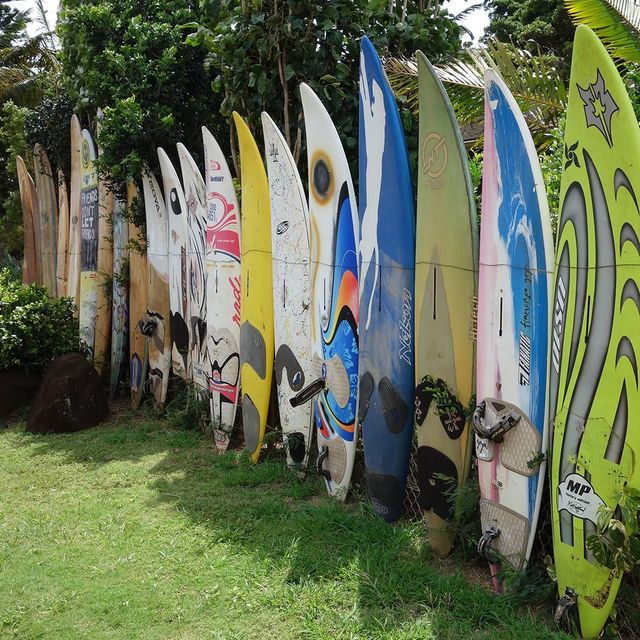 World's Largest Collection of Surfboards, world record in Haiku