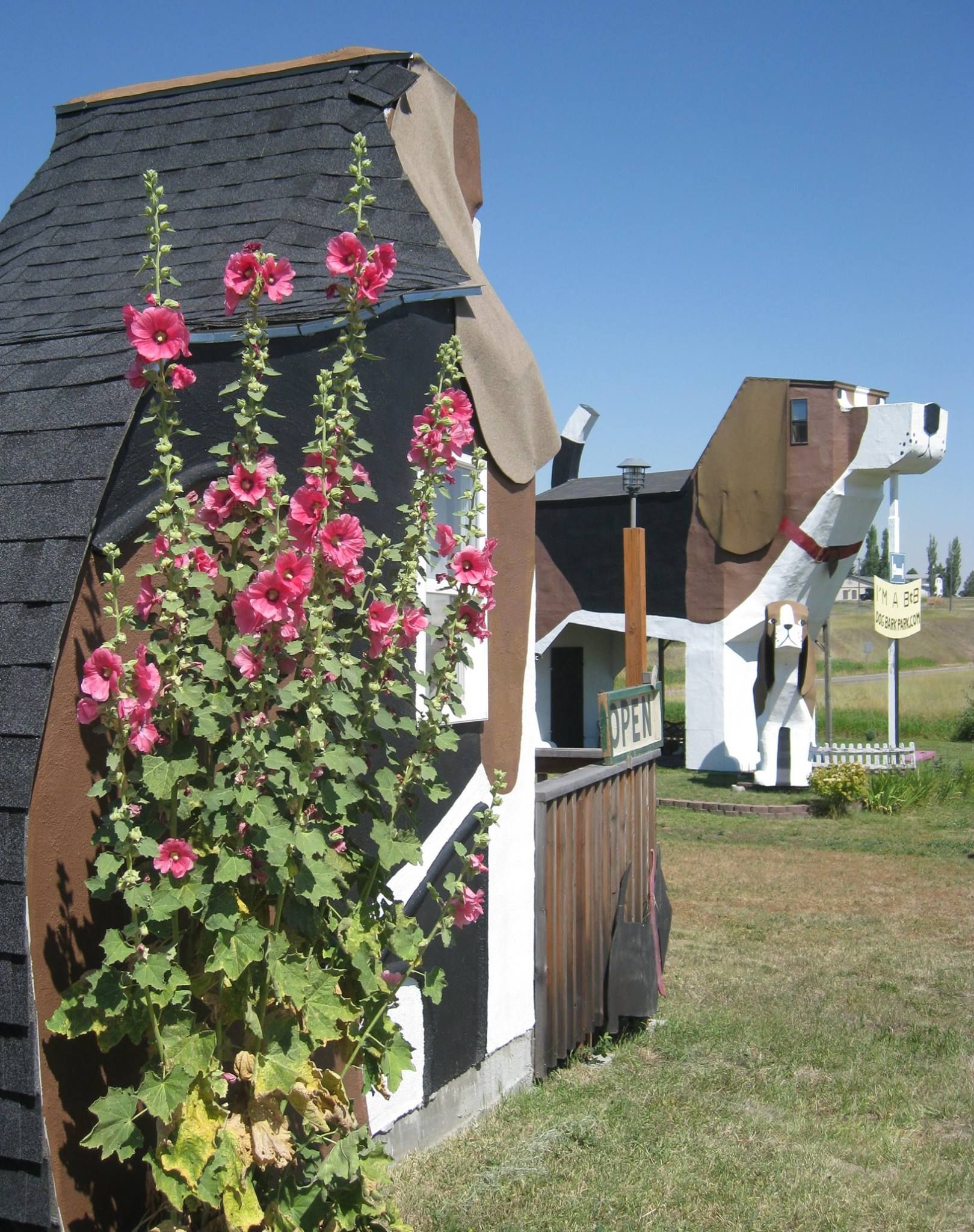 World's First Beagle-shaped Bed and breakfast, world record in Cottonwood, Idaho
