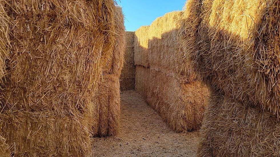 World's Largest Straw Bale Maze, world record in Rupert, Idaho World's Largest Straw Bale Maze, world record in Rupert, Idaho