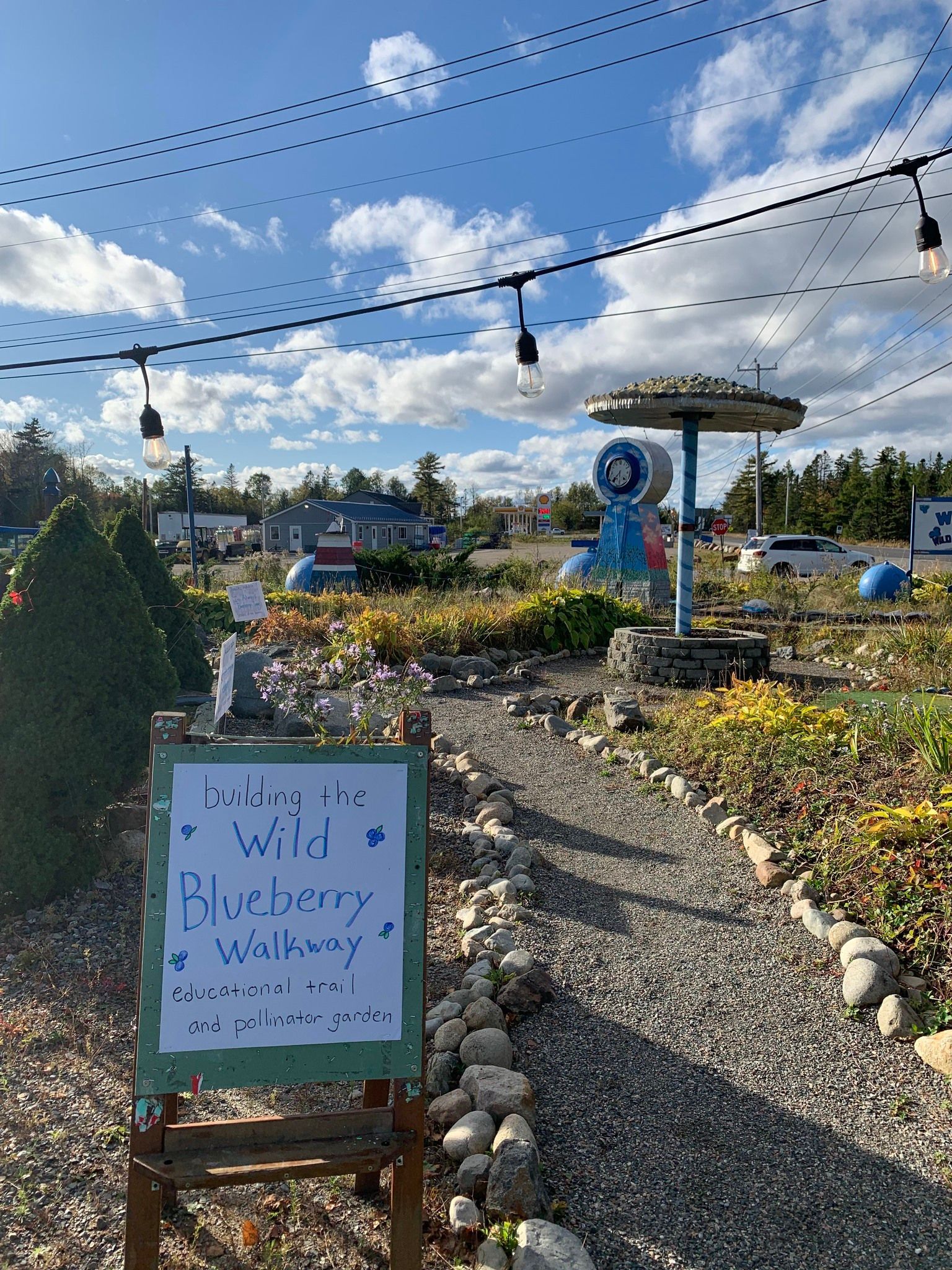 World's First Blueberry-shaped Shop, world record in Columbia Falls, Maine
