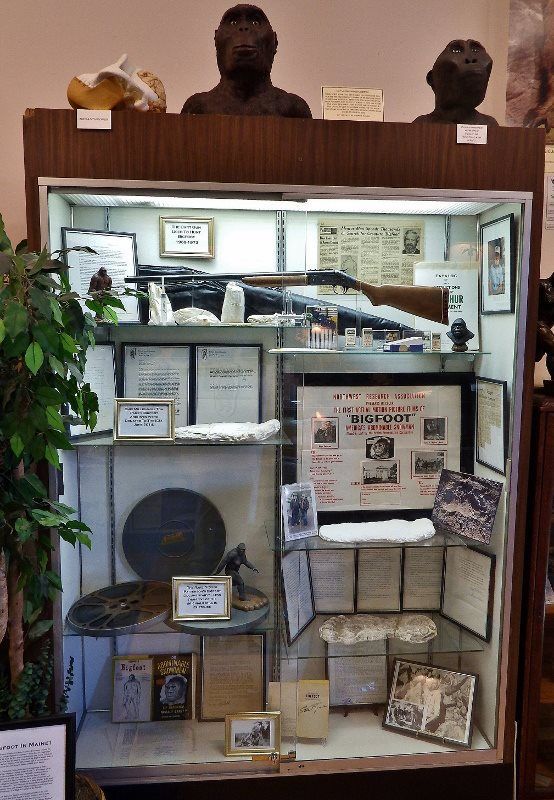 World's First Cryptozoology Museum, world record in Portland, Maine
