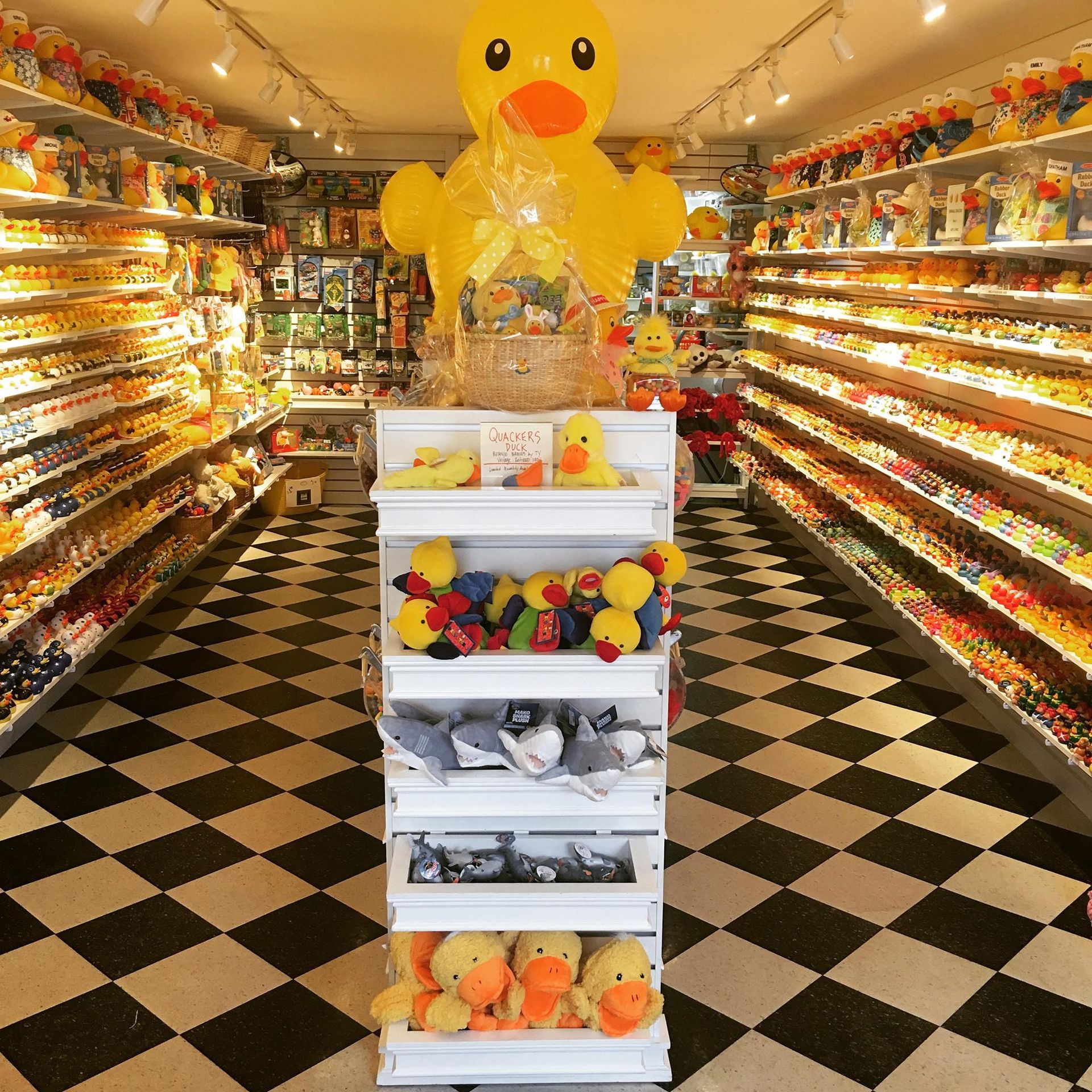 World's Largest Rubber Duck Store, world record in Chatham, Massachusetts