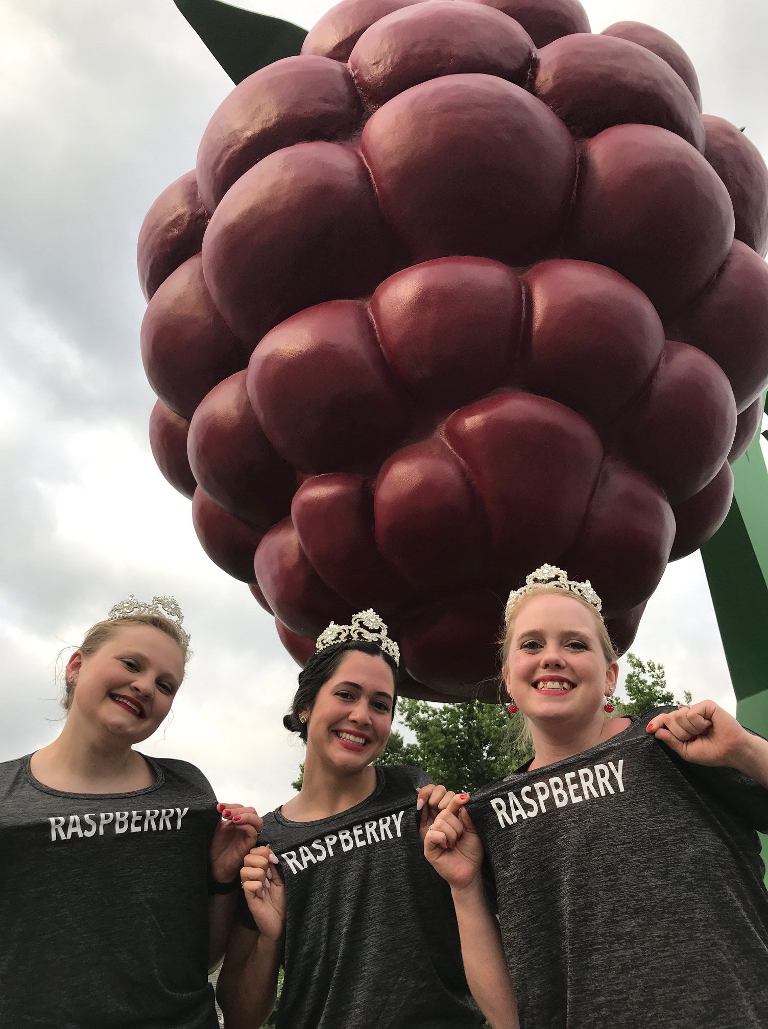 World's Largest Raspberry Sculpture, world record in Hopkins, Minnesota World's Largest Raspberry Sculpture, world record in Hopkins, Minnesota