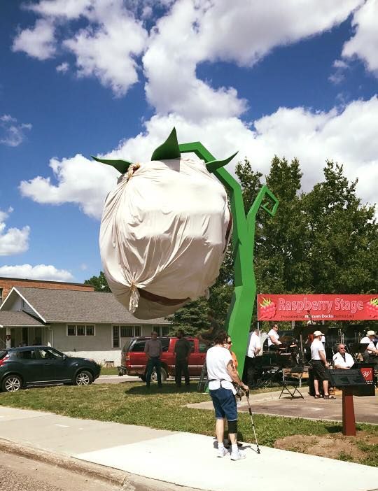 World's Largest Raspberry Sculpture, world record in Hopkins, Minnesota World's Largest Raspberry Sculpture, world record in Hopkins, Minnesota
