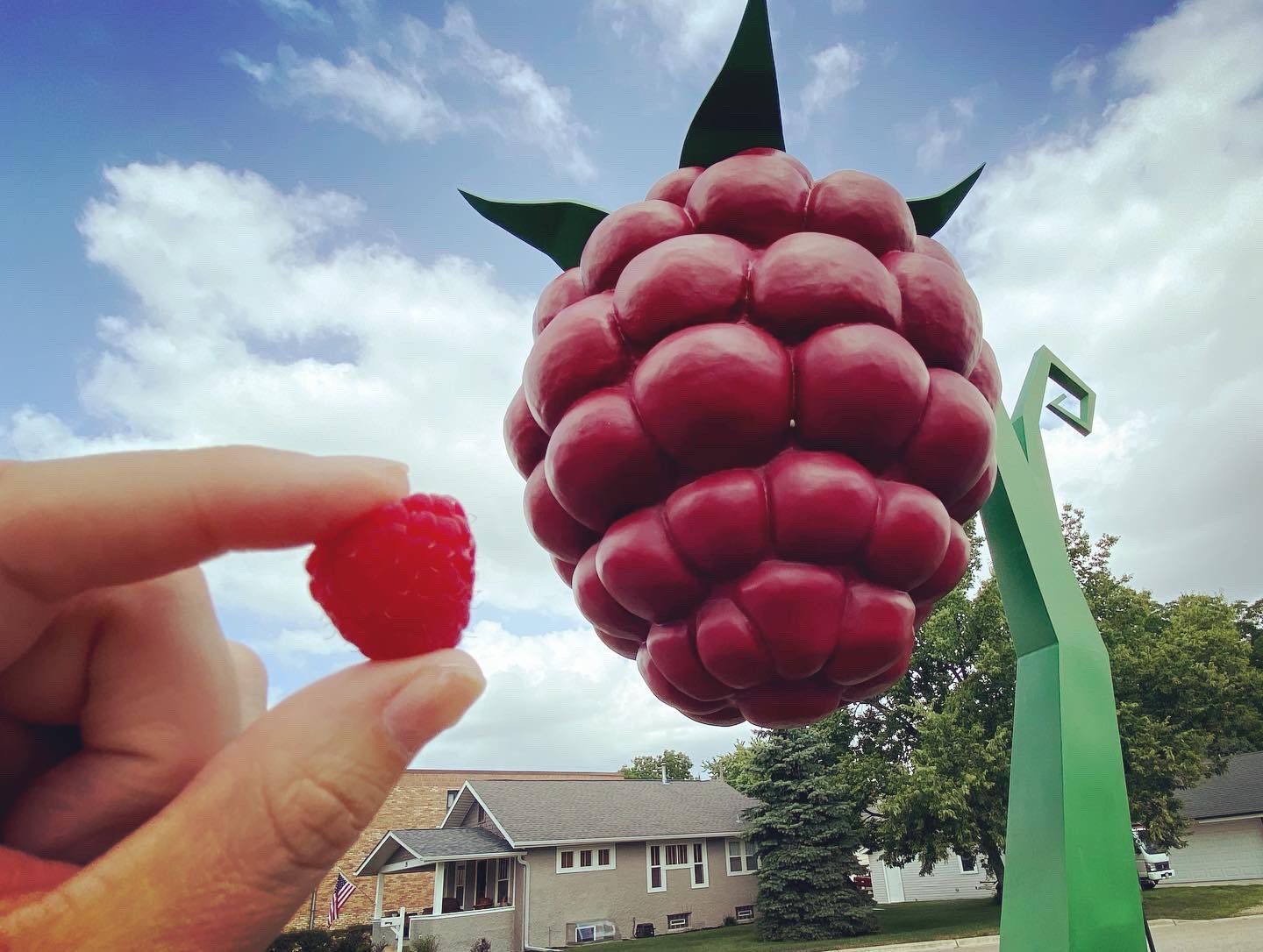 World's Largest Raspberry Sculpture, world record in Hopkins, Minnesota World's Largest Raspberry Sculpture, world record in Hopkins, Minnesota